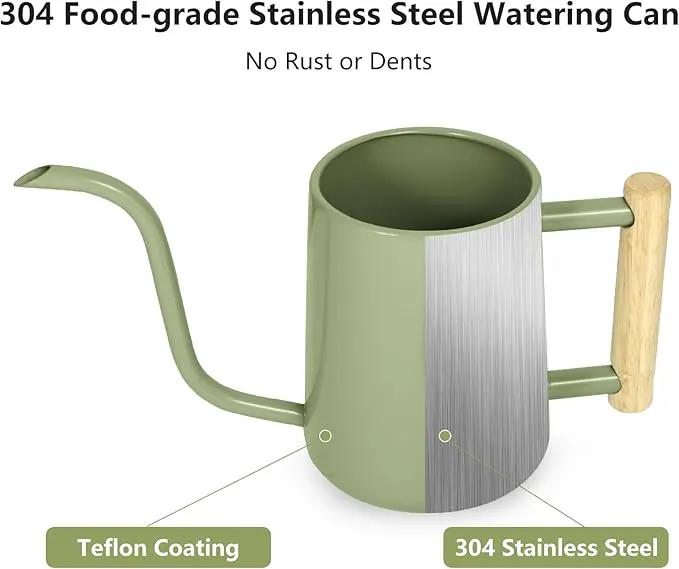 Watering Can Indoor Plants, 35 oz/1000 ml Metal Stainless Steel Watering Can Pot with Long Spout for Indoor House Plants Bonsai Outdoor Garden Flower Decorative (Sage Green) by GreenHaven Gardens