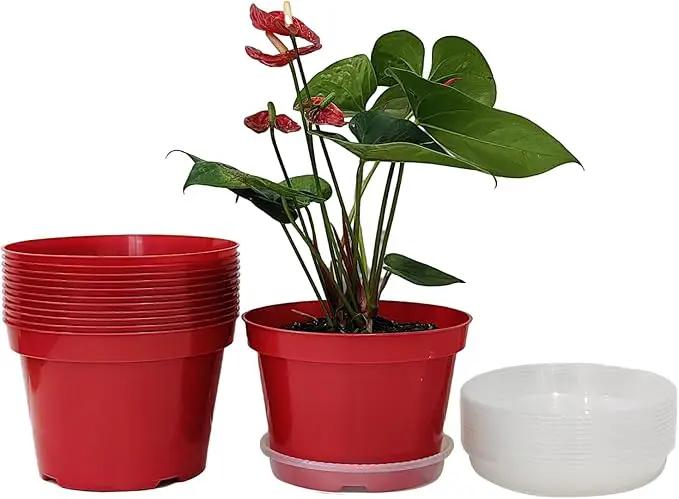 8 inch Plastic Flower Pots, Red Plant Pots 12Pack with Saucers for Indoor House Plants Growing and Decoration by GreenHaven Gardens