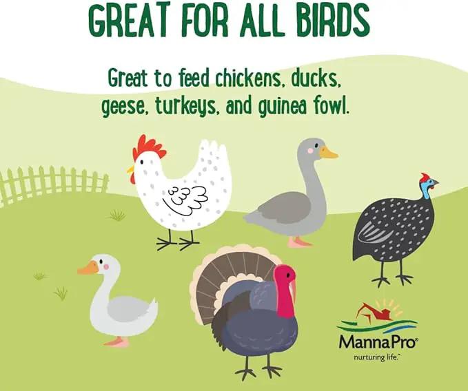 Manna Pro Mealworms Poultry Treat - High Protein, 100% Natural, 10oz by GreenHaven Gardens