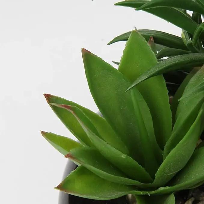 Hollyone Large Artificial Succulents Plants Faux Succulents in Pots Fake Succulent Potted Plants with Black Ceramic Pot for Home Decor Office Desk Bathroom Living Room Indoor & Outdoor Decorations by GreenHaven Gardens