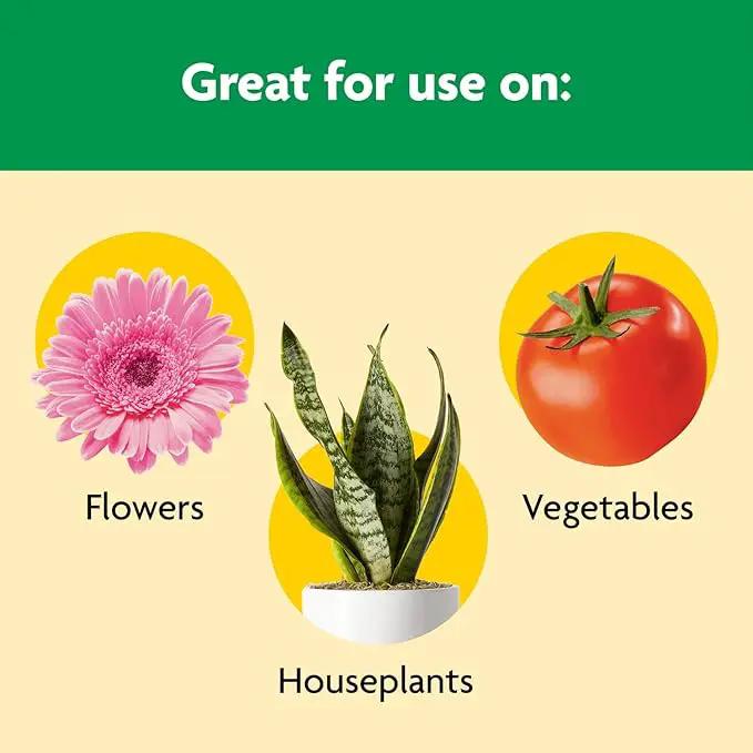 Miracle-Gro Shake 'N Feed All Purpose Plant Food, For In-Ground and Container Plants, Feeds for up to 3 Months, 8 lbs. by GreenHaven Gardens