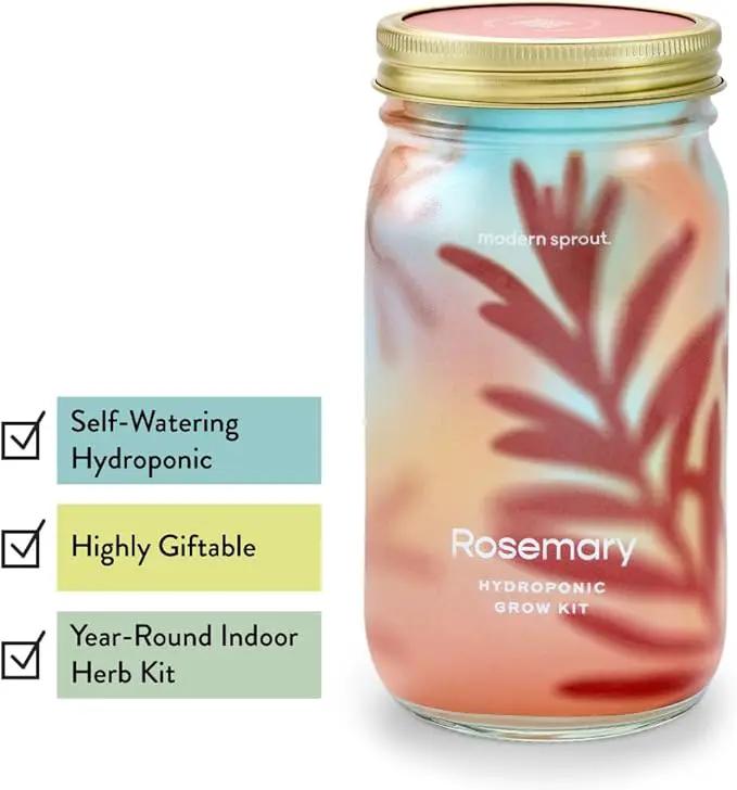 Modern Sprout Mason Garden Jar - Self-Watering Hydroponics Growing System Kit with Organic Herb Seeds - Jar Planter for Indoor Herb Garden - Seed Starter Kit - Home Decor & Gifting - Rosemary by GreenHaven Gardens