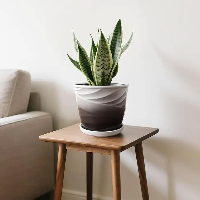 8 Inch Indoor Plant Pot with Drainage Holes and Saucers, Ceramic Planter for Plants, Succulent Orchid Flower Pots(Dark Gray+White) by GreenHaven Gardens