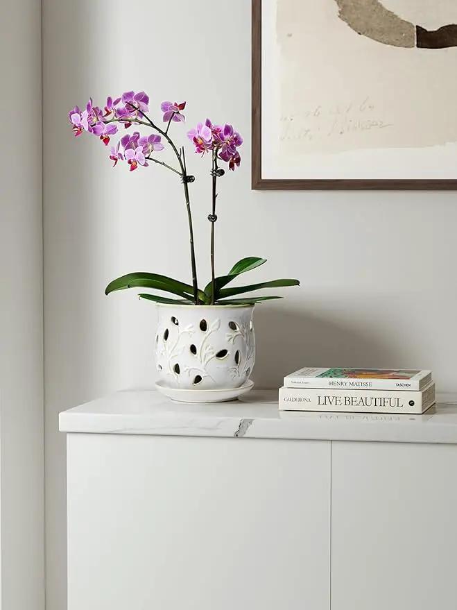 LE TAUCI Ceramic Orchid Pot, 6.5 Inch Orchid Pots with Holes, Orchid Planter for Repotting, Indoor Flower Plant Pot with Drainage and Saucer, Arctic White by GreenHaven Gardens