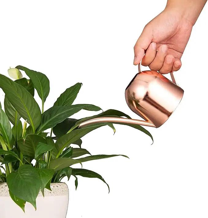 IMEEA Small Watering Can for Indoor Plants Stainless Steel Indoor Watering Can with Long Spout, 15oz/450ml by GreenHaven Gardens
