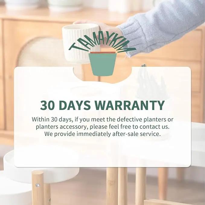 TAMAYKIM 4 Inch Ceramic Plant Pots with Drainage Holes, Modern Flower Planter with Saucer for Indoor Plants, Succulent, Cactus & Herbs, Beige, Set of 4 (Plants Not Included) by GreenHaven Gardens