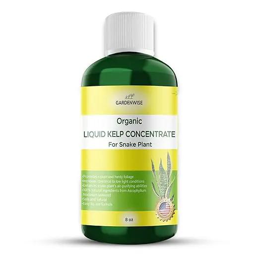 Organic Seaweed Kelp Liquid Fertilizer for Snake Plant (Sansevieria, Dracaena trifasciata) - Snake Plant Fertilizer - Snake Plant Food - Live Plant Care (8 OZ) by GreenHaven Gardens