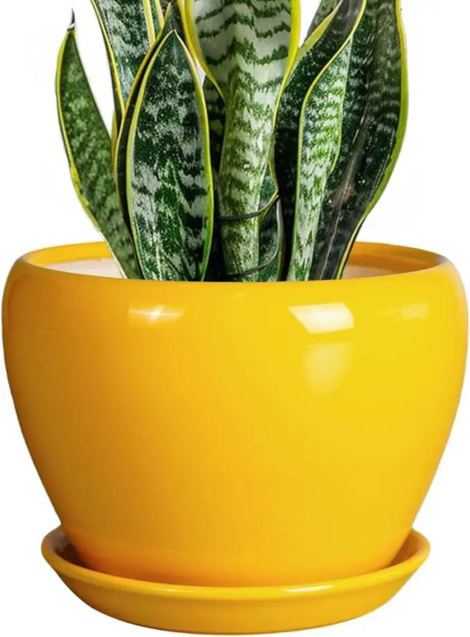 8 Inch Plant Pot - Glaze Modern Round Ceramic Planter for Indoor Outdoor Plants with Drainage Hole and Saucer for Home Patio Room Office Decor, Yellow by GreenHaven Gardens