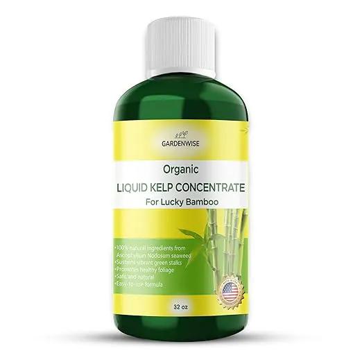 Organic Premium Kelp Seaweed Fertilizer for Lucky Bamboo - Liquid Plant Food - Hydroponics - Soil Enhancer - Natural (32 OZ) by GreenHaven Gardens