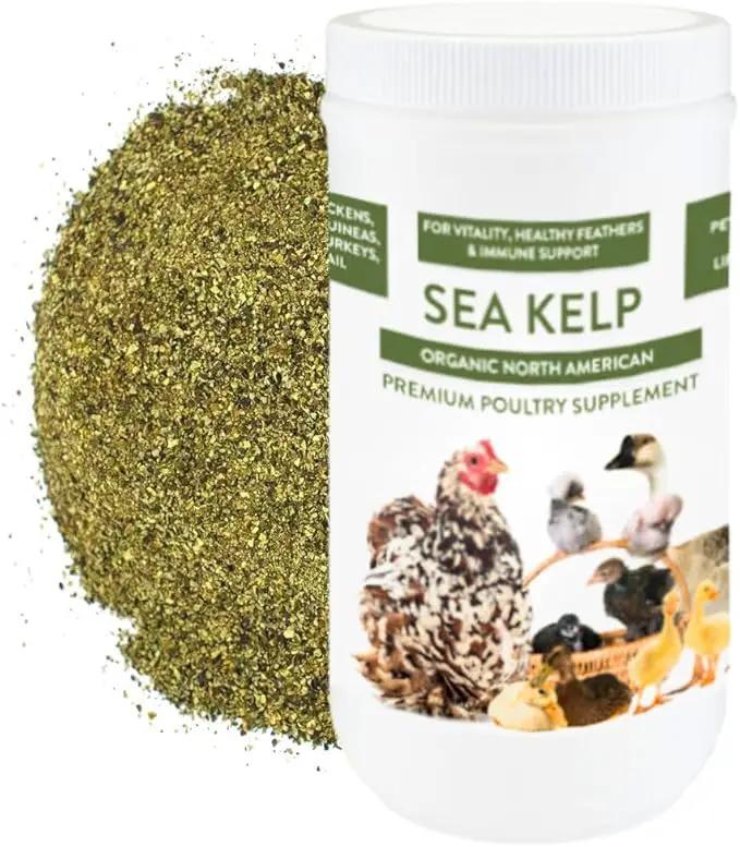 Organic Kelp for Chickens & Duck Feed (5 Pound): Chicken Vitamins | Chicken Supplements | Vitamins for Chickens | Pampered Chicken Mama by GreenHaven Gardens