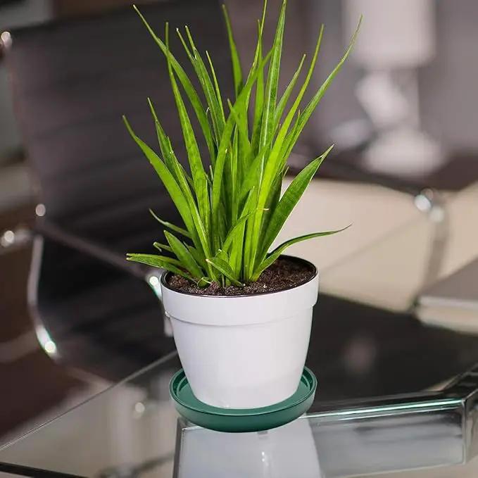 4 Pack Ceramic Plant Saucer Pot Tray 4 Inch, Planter Saucers 4 5 6 7 8 9 10 11 12 13 Inch for Indoors Outdoor, Durable Sturdy Flower Drainage drip Water Tray for Glazed Pots Base (4.7 Inch-Green) by GreenHaven Gardens