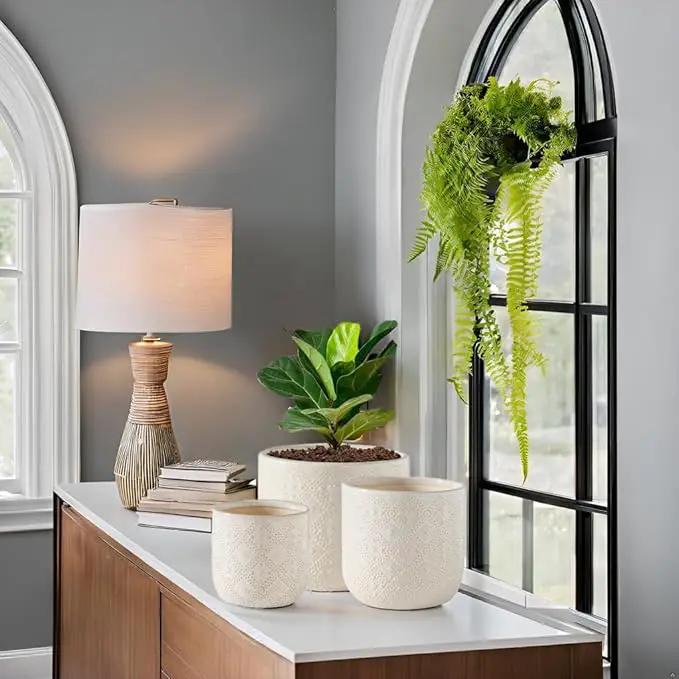Docrin Ceramic Plant Pots Indoor：6.5+5.3+4 Inch Planters with Drainage Holes for Home/Office - Set of 3 / White by GreenHaven Gardens
