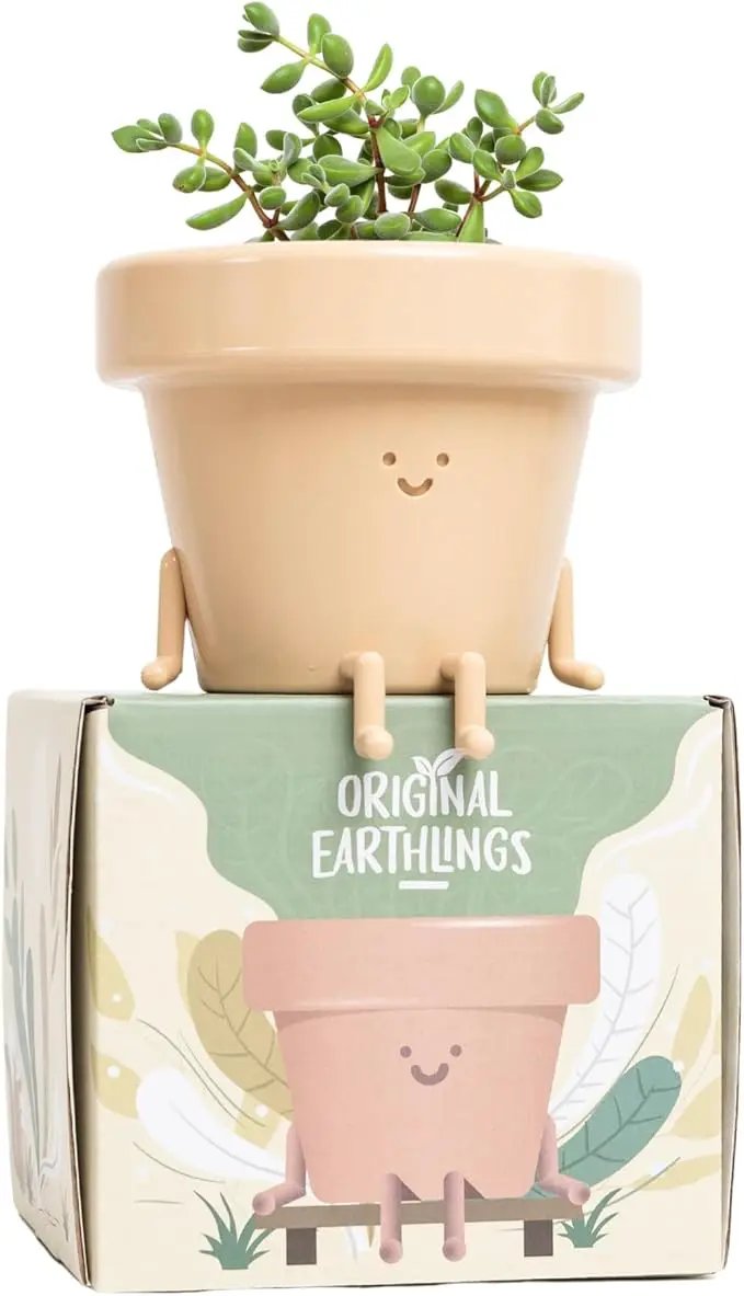 Original Earthlings Sitting Pot - 3.5 Inch Cute Plant Pot - Plastic Funny Planter with Drainage - Unique Cactus Plant Lover Gift - Small Succulent Face Flower Pot - Cute Plant Gifts for Plant Lovers by GreenHaven Gardens