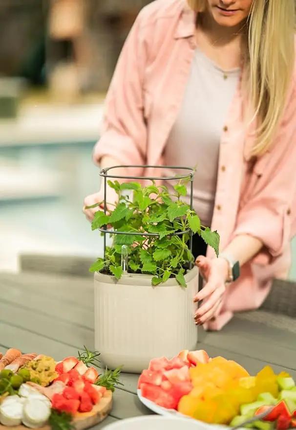 Vego garden Mini Planter Indoor Pots with Trellis Self-Watering Herb Countertop Planter for Climbing Vegetables Flowers Mint Plants Cage 2 Pack- Cream White by GreenHaven Gardens