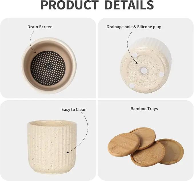 TAMAYKIM 4 Inch Ceramic Plant Pots with Drainage Holes, Modern Flower Planter with Saucer for Indoor Plants, Succulent, Cactus & Herbs, Beige, Set of 4 (Plants Not Included) by GreenHaven Gardens
