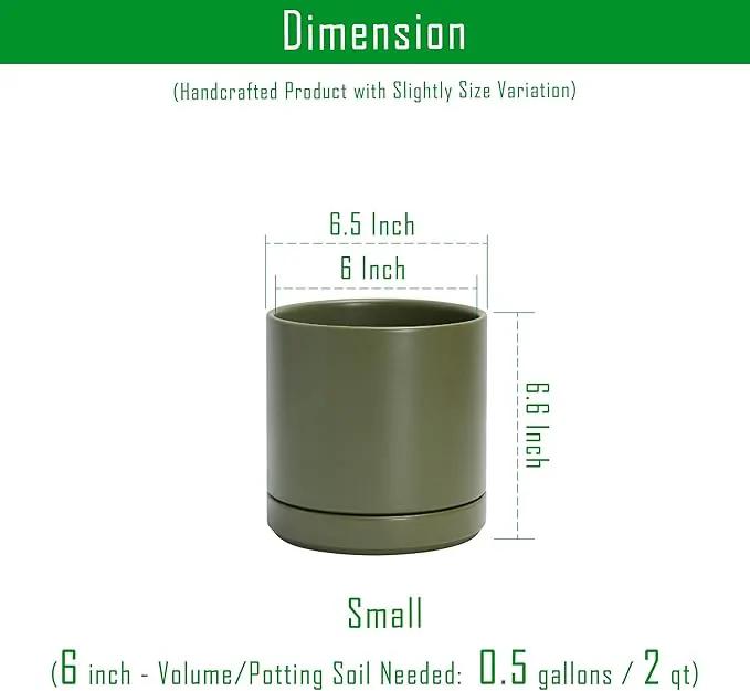 D'vine Dev Set of 2 Plants Pots, 6.5 Inch Ceramic Planter Pot for Plants with Drainage Hole and Saucer, Olive, 94-V-C-J by GreenHaven Gardens