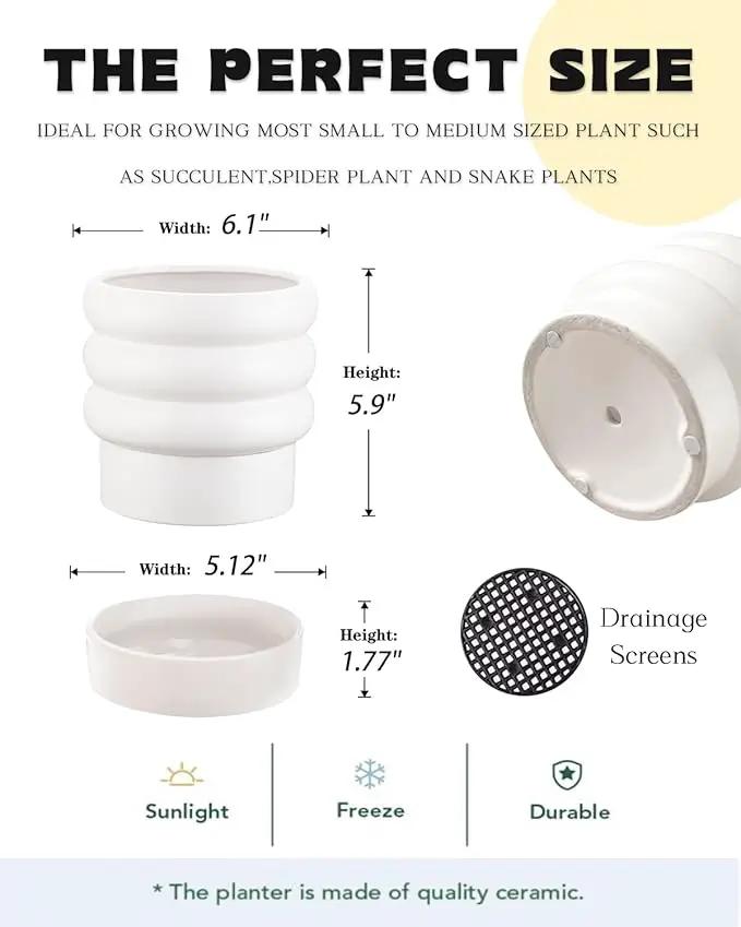 Bubble Ceramic Plant Pots with Drainage Holes and Saucers,6 inch Medium Flower Pots Modern Decor Planter for Indoor Plants(White) by GreenHaven Gardens