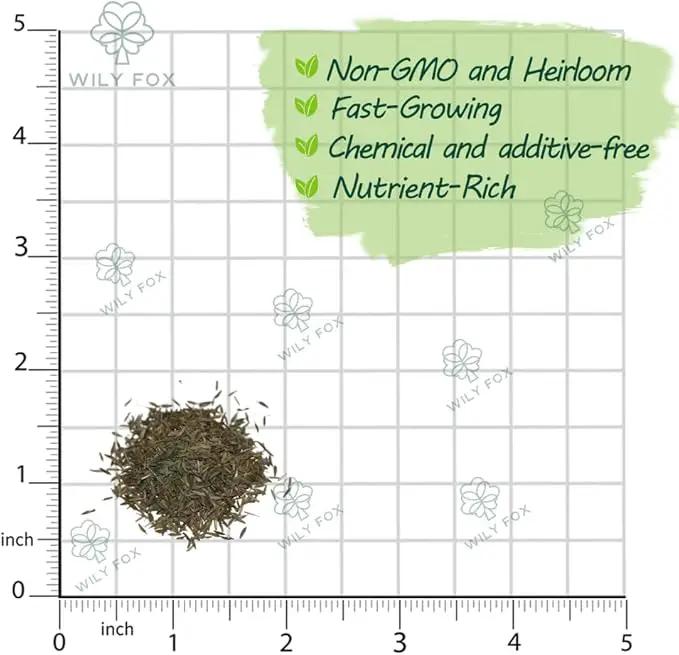 Premium Taraxacum Dandelion Seeds - 5000 Non-GMO Heirloom Purple-Stem Dandelion Seeds for Planting, Herbal Tea & Pollinators –Most Medicinal Variety (Taraxacum) by GreenHaven Gardens