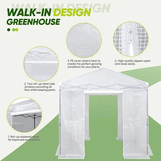 EAGLE PEAK 8x8 Portable Walk-in Greenhouse, Pop-up Indoor Outdoor Garden Green House, Zippered Doors and Windows, PE Cover, White by GreenHaven Gardens