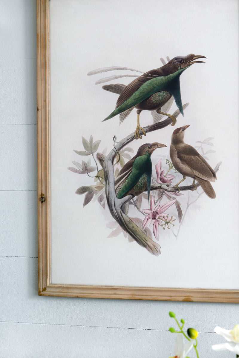 Bird Framed Print (Set of 2) - Multicolor by HouseOfZazla
