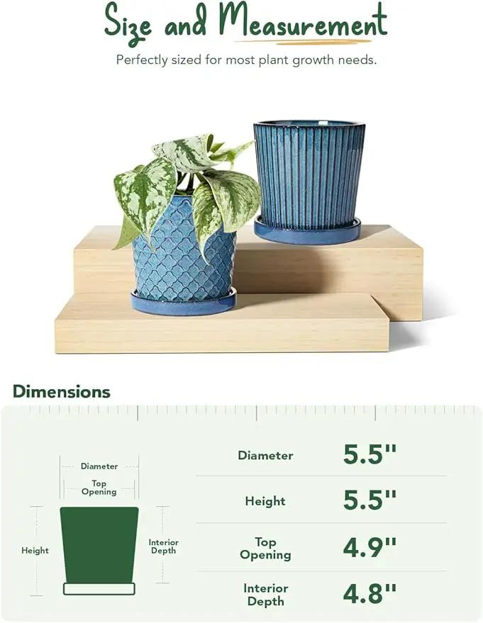 LE TAUCI Ceramic Pots for Plants, 5.5 Inch Plant Pots with Drainage Hole and Saucer, Indoor Plant Pots for Succulent, Snake Plants and Cactus, Flower Pots, Set of 2, Reactive Glaze Blue by GreenHaven Gardens