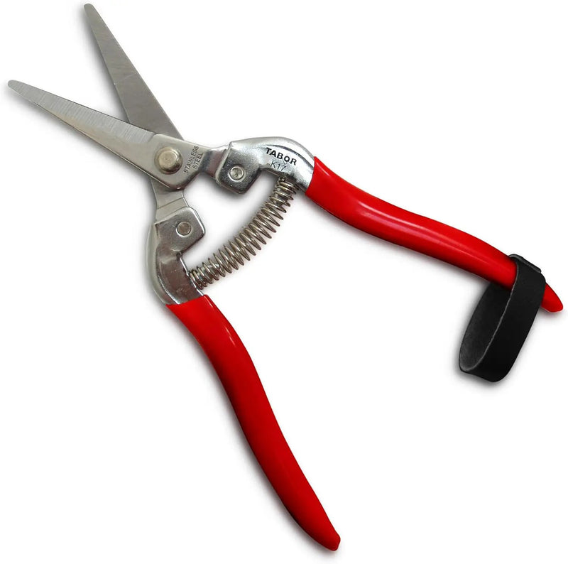 TABOR TOOLS Pruning Shears, Florist Scissors, Multi-Tasking Garden Snips for Arranging Flowers, Trimming Plants and Harvesting Herbs, Fruits or Vegetables. K17A. (Straight, Stainless Steel Blades) by GreenHaven Gardens