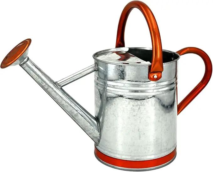 Metal Watering Can for Outdoor Plants, Galvanized Steel Watering Can with Removable spout, 1 Gallon,Perfect Home & Garden Décor Retro Zinc Hue by GreenHaven Gardens