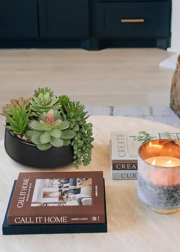 DILATATA Artificial Succulent Plants in Pot 5.5 Inch Fake Succulents Arrangement Potted Plant in Black Ceramic Planter Bowl for Home Office Desk Shelf Living Room Bedroom Bathroom Decor by GreenHaven Gardens