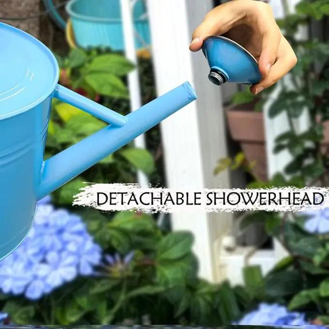 Metal Watering Can, One Gallon Watering Cans Stainless Steel for Outdoor Indoor Garden Plants Watering (Stainless Steel Handle Blue) by GreenHaven Gardens