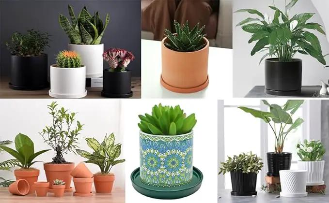 Plant Saucer Pot Tray Planter Saucers 4 5 6 7 8 9 10 11 12 Inch Black 4 Pack for Indoors Outdoor, Durable Sturdy Ceramic Flower Drainage Tray for Glazed Pots Base (4.7 Inch-Black) by GreenHaven Gardens