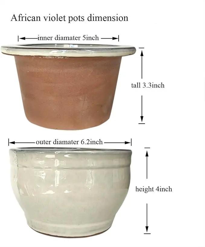 African Violet Pots Self Watering Round Ceramic Violet Pot (White, 6 inch) by GreenHaven Gardens