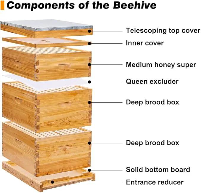 POLLIBEE 10 Frame Langstroth Beehive, Beeswax Coated Bee Hives for Bee Keeper,Beehive Include 2 Deep Bee Boxes and 1 Medium Bee Hive Box with Frame and Foundation(Unassembled) by GreenHaven Gardens