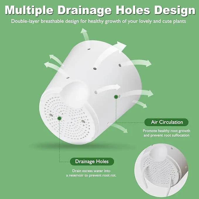 Orchid Pots with Holes, 6 Inch Self Watering Orchid Pot 2 Pack Plastic Plant Pots for Orchid, Flower (White+Brown) by GreenHaven Gardens