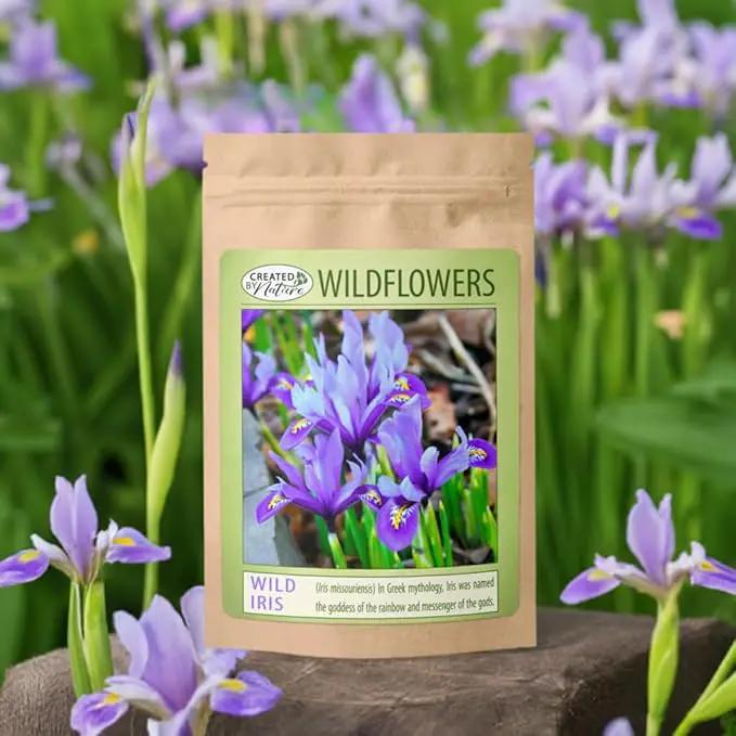 Wild Iris (Iris missouriensis) Seeds | 400+ Non-GMO Wildflower Seeds for Pollinators, Perennial Flowers for Meadows, Gardens by GreenHaven Gardens