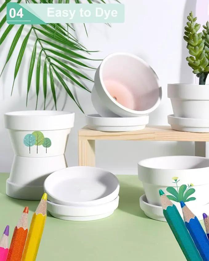 vensovo 5.7 Inch White Terracotta Shallow Succulent Pots - 6 Pack Terra Cotta Clay Pot with Saucer, Cacuts Indoor and Outdoor Planters with Drainage Hole by GreenHaven Gardens
