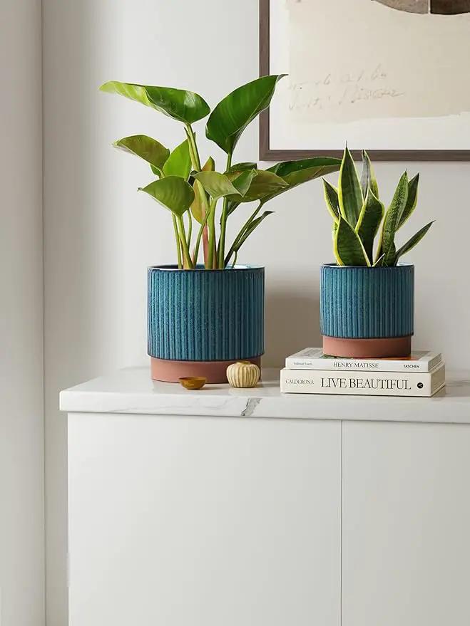 LE TAUCI Ceramic Plant Pots with Drainage Holes, Set of 3, 8+6.7+5.5 Inch Stripe Garden Planter Pots for Outdoor Indoor Plants Flower, Round Succulent Orchid Flower Pot, Reactive Glaze Green by GreenHaven Gardens