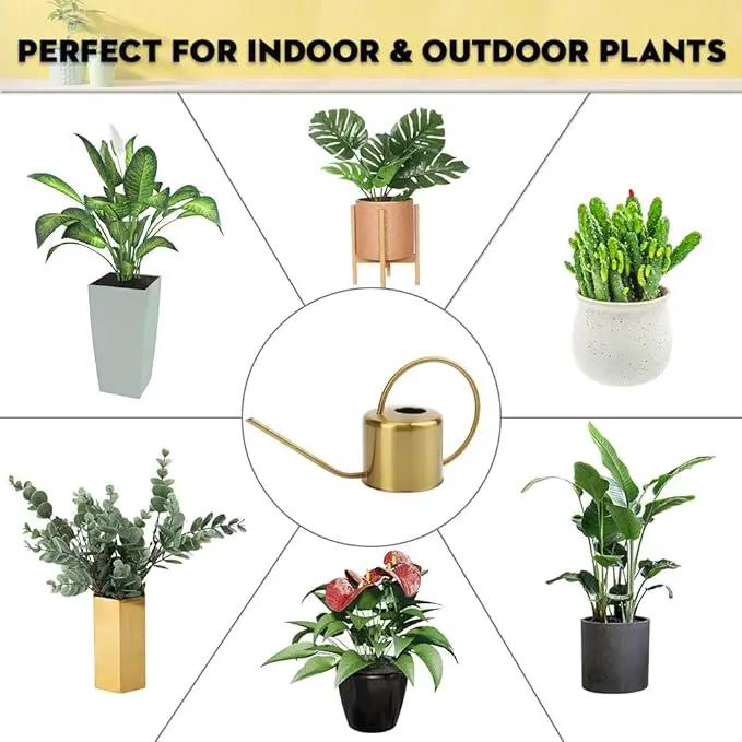 Remiawy Watering Can Indoor Outdoor Stainless Steel Watering Cans for House Plants Long Spout Water Can for Succulent Bonsai Garden Flower(40oz/1300ml) by GreenHaven Gardens
