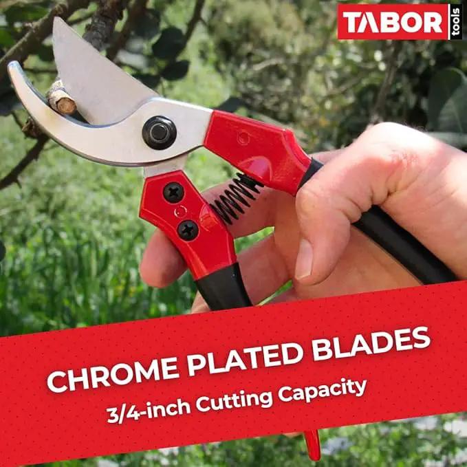TABOR TOOLS S821A Bypass Pruning Shears, Makes Clean Cuts, Great for S-M Size Hands. Professional Sharp Secateurs, Hand Pruner, Garden Shears, Clippers for The Garden. by GreenHaven Gardens