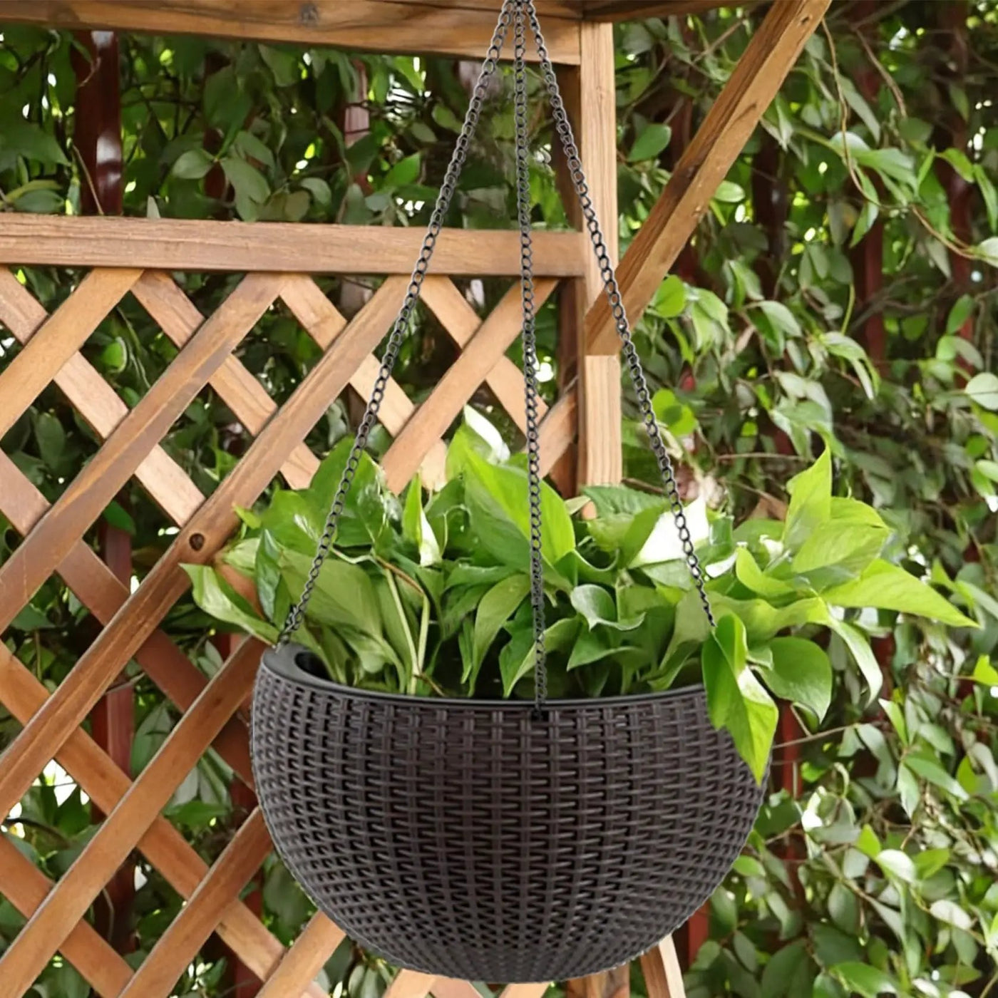Self Watering Hanging Planter by HouseOfZazla