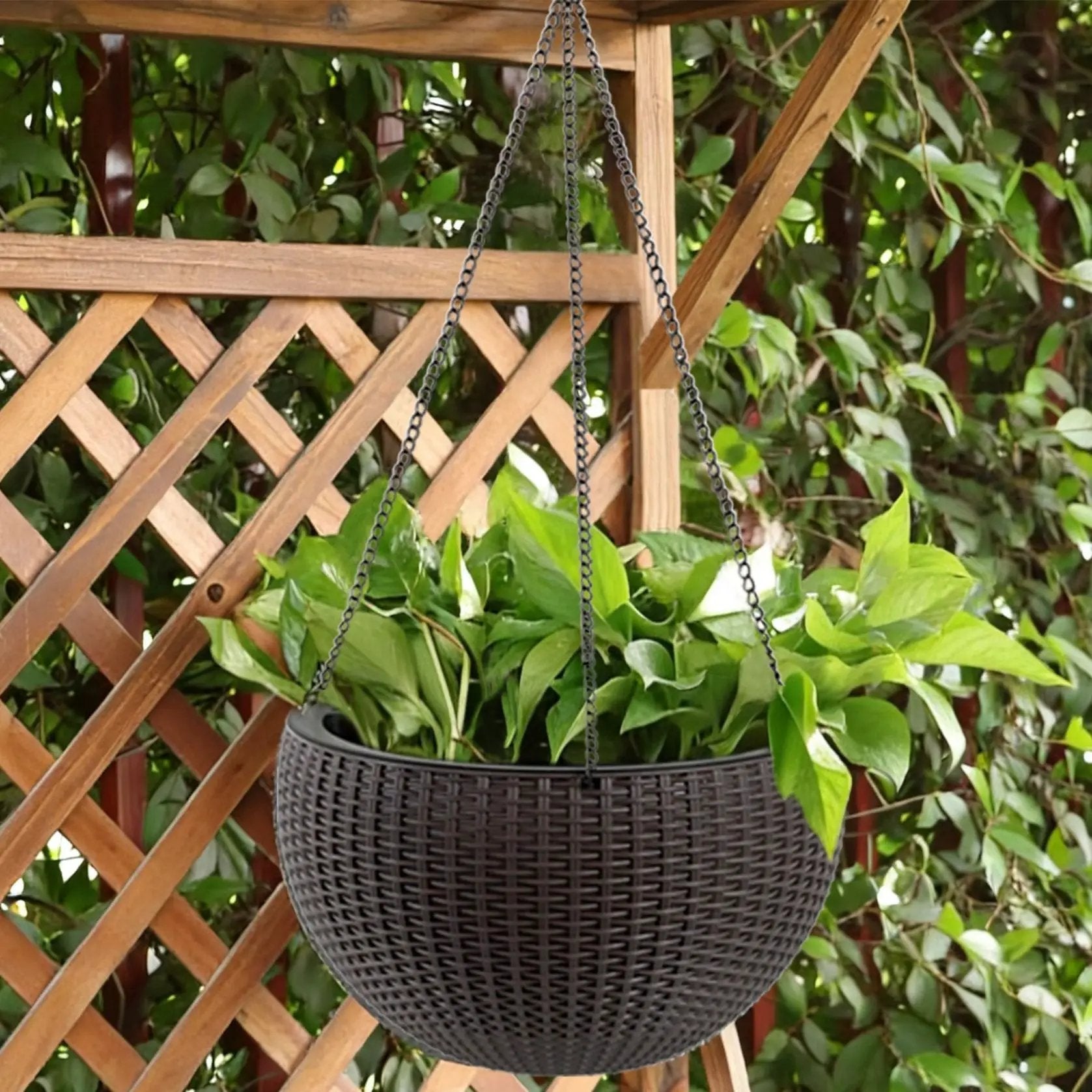 Self Watering Hanging Planter by HouseOfZazla