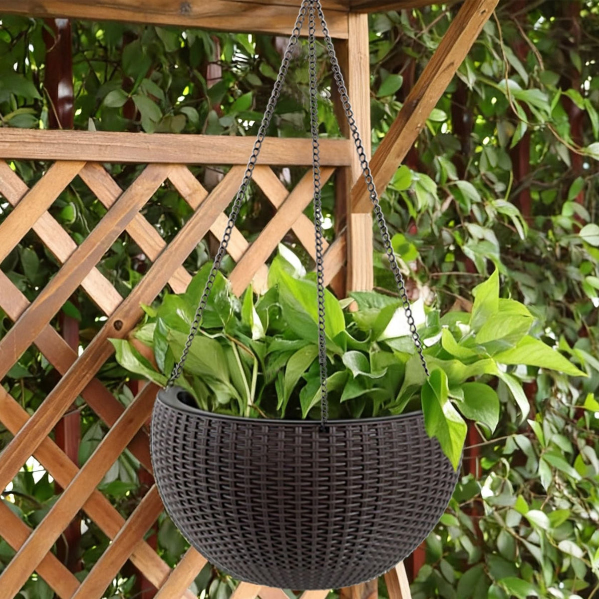 Self Watering Hanging Planter with Water Level Indicator - White, Black, or Dark Brown, photo 18 of 40