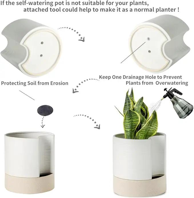 Nihow Self Watering Plant Pot: 8 Inch Ceramic Planter with Drainage Hole & Water Storage Plus for Indoor & Outdoor Plants - Cylinder Round Flower Pot for Succulent/Herbs/Violets - White & Brown by GreenHaven Gardens