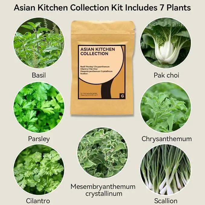 inbloom Asian Herb Seed Pod Kit for AeroGarden, iDoo, Ahopegarden, 7 Pods with 350+ Seeds (Basil, Parsley, Cilantro, Chrysanthemum, Pak Choi, Crystalline Ice Plant, Onion) Hydroponics Growing System by GreenHaven Gardens
