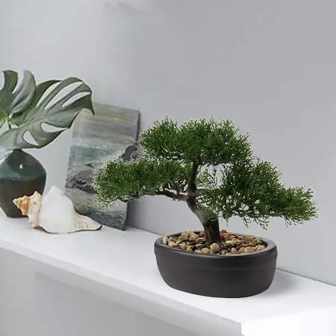 Artificial Bonsai Tree Juniper Faux Plants Indoor Small Fake Plants Decor with Ceramic Pots for Home Table Office Desk Bathroom Shelf Bedroom Living Room Farmhouse Decorations by GreenHaven Gardens