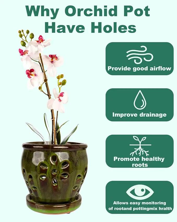 vensovo 5 Inch Ceramic Orchid Pots with Holes and Saucers - 1 Pcs Small Succulent Pot for Repotting, Garden Flowerpots for Plants Indoor and Outdoor Promotes Air Circulation, Yellow Mixed Brown by GreenHaven Gardens