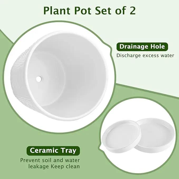 EFISPSS Ceramic Plant Pots, 5+6 Inch Pots for Indoor Plants, Planters with Drainage Holes and Tray, Modern Flower Pots Gardening Home Desktop Office Windowsill Decoration Gift Set of 2 - White by GreenHaven Gardens