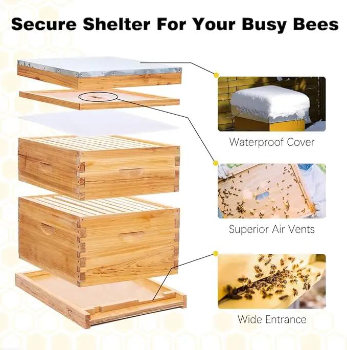 POLLIBEE 10 Frame Bee Hive,Beeswax Coated Beehive Kit for Bee Keeper,Complete Beehive Include 1 Deep Brood Bee Box and 1 Medium Bee Hive Box with Frame and Foundation by GreenHaven Gardens