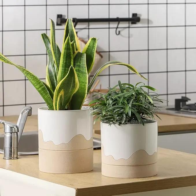 Nihow Self Watering Plant Pot: 6 Inch Ceramic Planter with Drainage Hole & Water Storage Plus for Indoor & Outdoor Plants - Cylinder Round Flower Pot for Succulent/Herbs/Violets - White & Nature by GreenHaven Gardens
