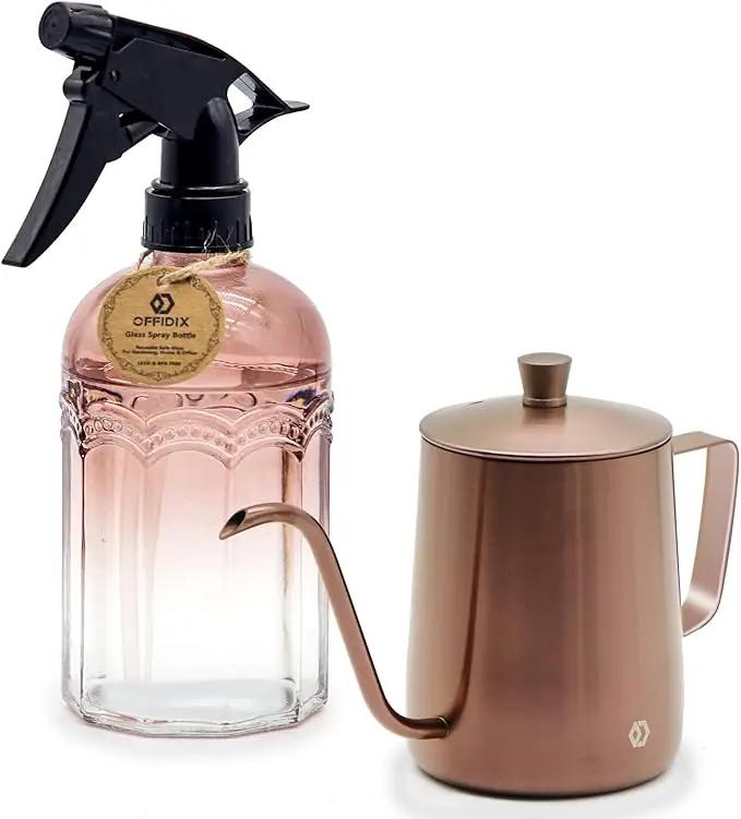 OFFIDIX Watering Can for Indoor Plants Long Spout Metal Stainless Steel 21 oz/600 ml Small Watering Can with 14 oz/400ml Glass Plant Mister Spray Bottle for Plants Bonsai by GreenHaven Gardens