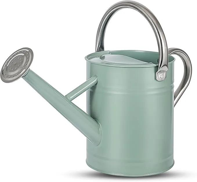 1 Gallon Watering Can for Plants, Watering Cans for Indoor&Outdoor Gardening, Galvanized Steel Watering Pot with Removable Spout, Metal Water Can with Ergonomic Movable Handle(Cream Green) by GreenHaven Gardens